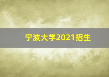 宁波大学2021招生