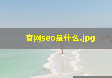 官网seo是什么