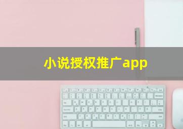 小说授权推广app