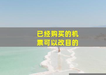 已经购买的机票可以改目的