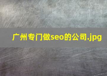 广州专门做seo的公司
