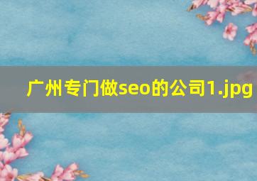 广州专门做seo的公司