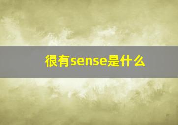 很有sense是什么