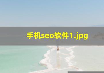 手机seo软件