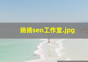 扬扬seo工作室