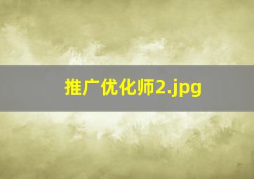 推广优化师