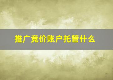 推广竞价账户托管什么