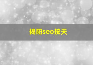 揭阳seo按天