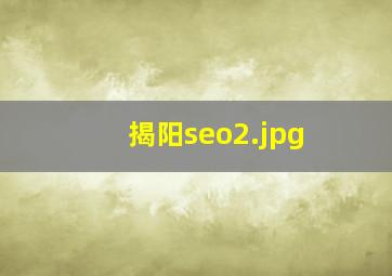 揭阳seo