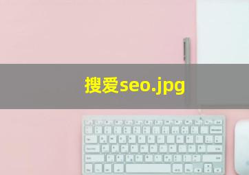 搜爱seo