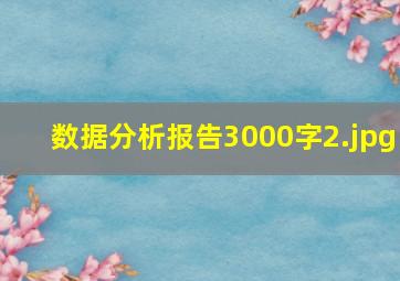 数据分析报告3000字