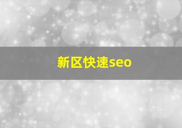 新区快速seo