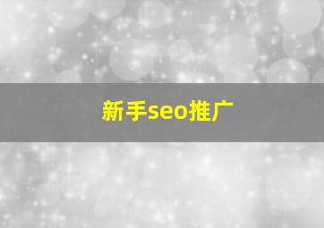 新手seo推广