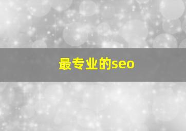 最专业的seo