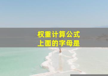 权重计算公式上面的字母是