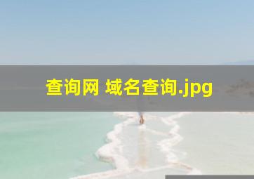 查询网 域名查询