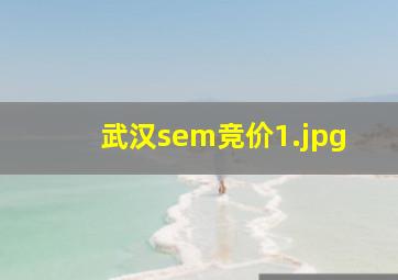 武汉sem竞价