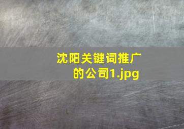 沈阳关键词推广的公司