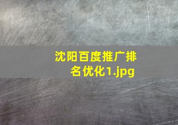 沈阳百度推广排名优化