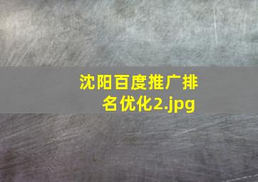 沈阳百度推广排名优化