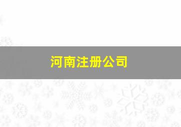 河南注册公司