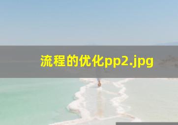 流程的优化pp
