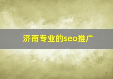 济南专业的seo推广