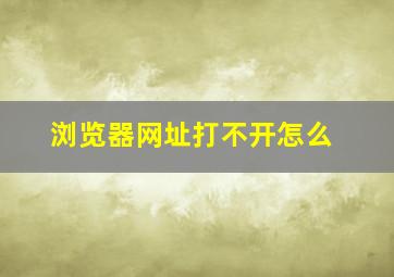 浏览器网址打不开怎么
