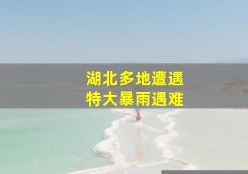 湖北多地遭遇特大暴雨遇难