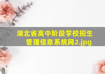 湖北省高中阶段学校招生管理信息系统网