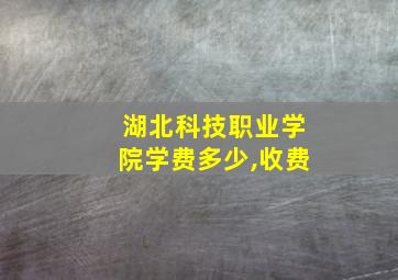 湖北科技职业学院学费多少,收费