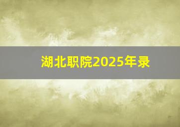 湖北职院2025年录