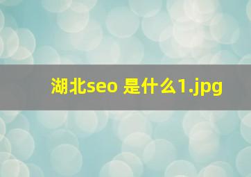 湖北seo 是什么
