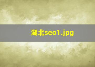 湖北seo