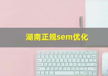 湖南正规sem优化