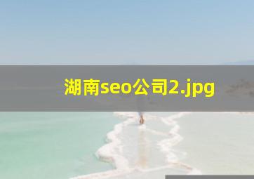 湖南seo公司