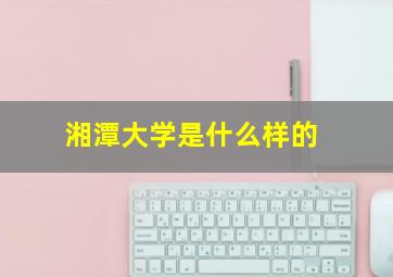 湘潭大学是什么样的