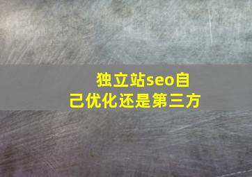 独立站seo自己优化还是第三方