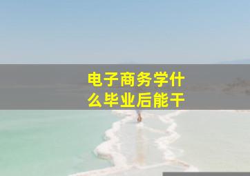 电子商务学什么毕业后能干