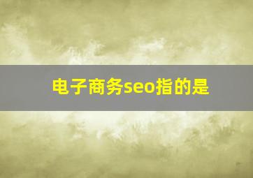 电子商务seo指的是