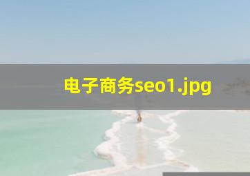 电子商务seo