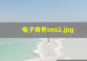 电子商务seo