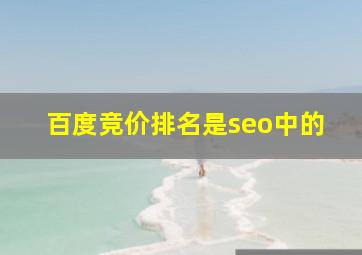 百度竞价排名是seo中的