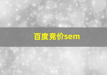 百度竞价sem