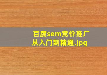 百度sem竞价推广从入门到精通