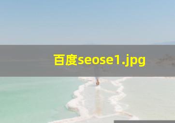 百度seose