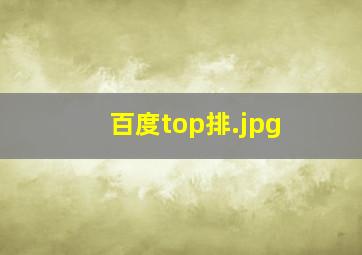 百度top排