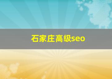 石家庄高级seo