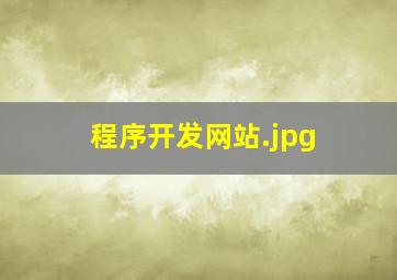 程序开发网站