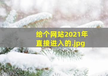 给个网站2021年直接进入的